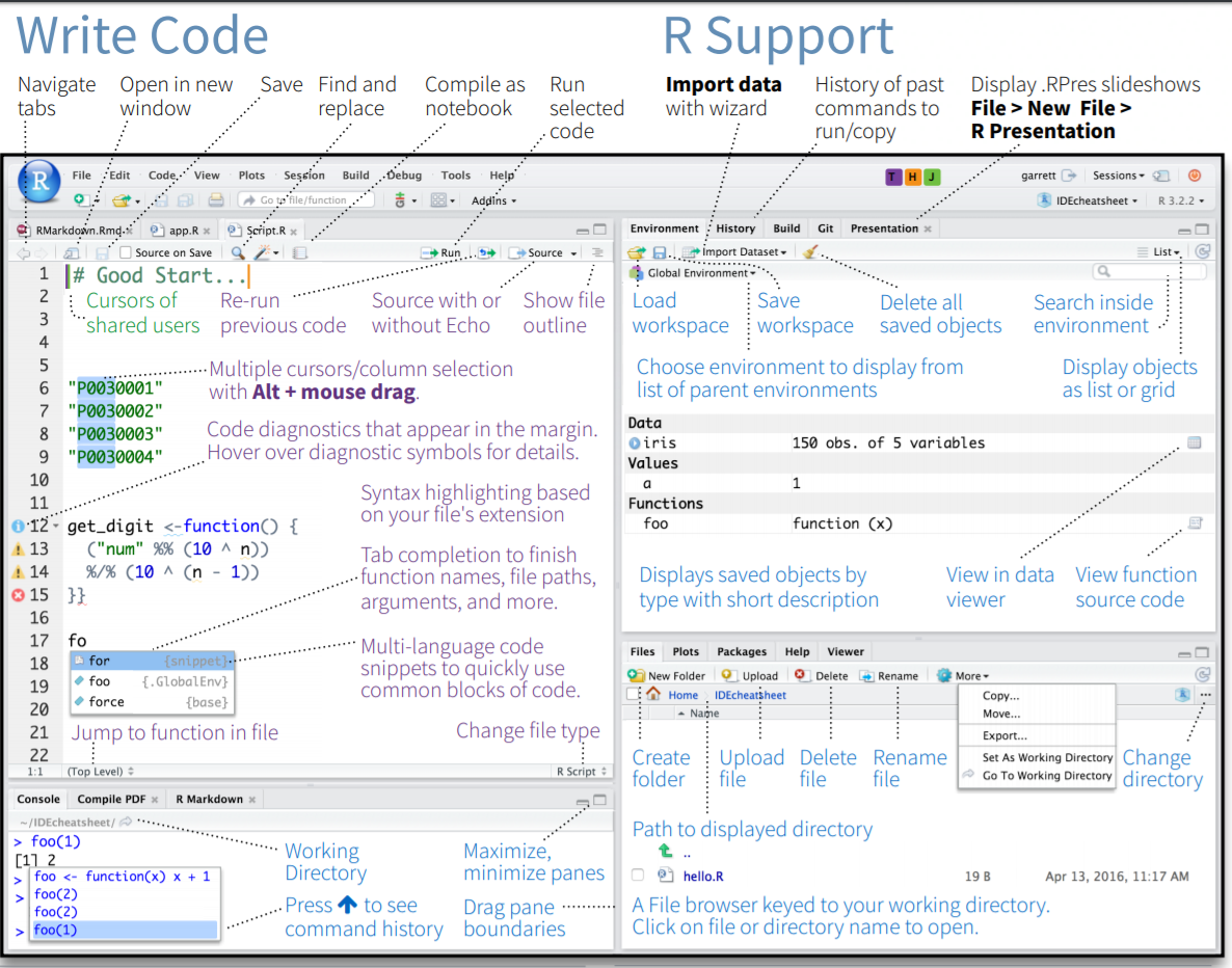 R Studio IDE